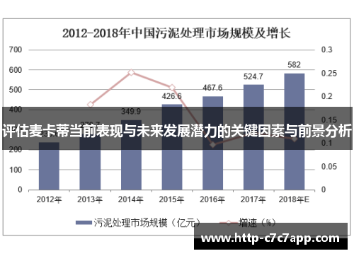 评估麦卡蒂当前表现与未来发展潜力的关键因素与前景分析